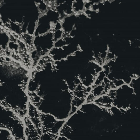 la infección que propaga extendiendose por la materia